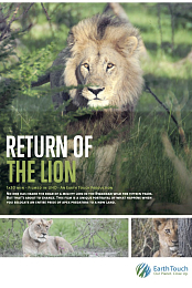 Return of the Lion