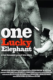 One Lucky Elephant