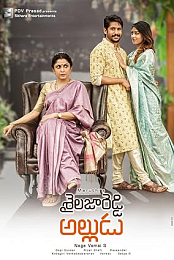 Sailaja Reddy's Son-in-Law