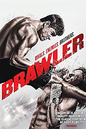 Brawler