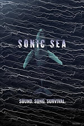 Sonic Sea