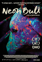 Neon Bull