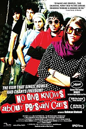 No one Knows About Persian Cats