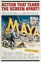 Maya