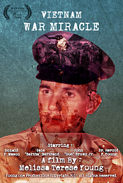 Vietnam War (2017)