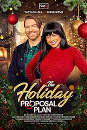 The Holiday Proposal Plan