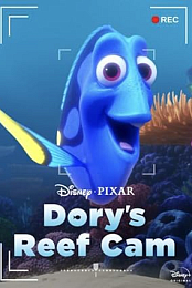Dory's Reef Cam