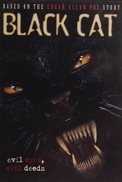 Black Cat