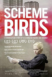 Scheme Birds