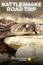 Rattlesnake Roadtrip