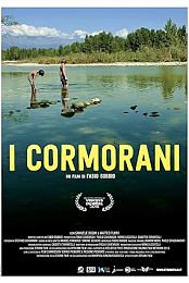 The Cormorants