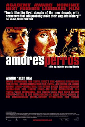 Amours.Chiennes.2000.MULTI.DVDRip.X264