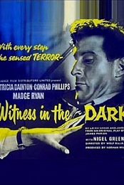 Witness in the Dark