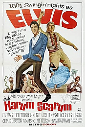 Harem Holiday