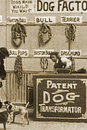 Dog Factory