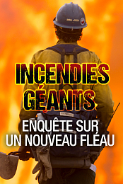Megafires