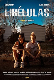 Libelulas