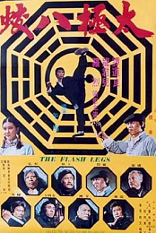 Shaolin Deadly Kicks