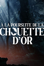 A la poursuite de la chouette d'or