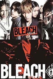 Bleach