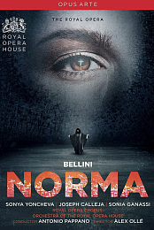 Norma