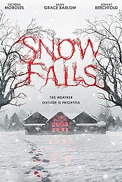 Snow Falls