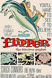 Flipper