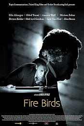 Fire Birds