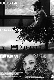 Cesta pustym lesem
