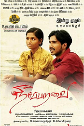 Neer Paravai