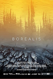 Borealis