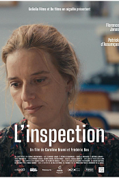Inspection