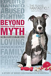 Beyond The Myth 2010 iNTERNAL DVDRip X264-MULTiPLY
