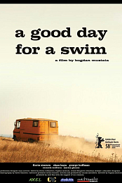 A Good Day for a Swim