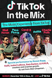 TikTok in the Mix
