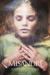 Misandri