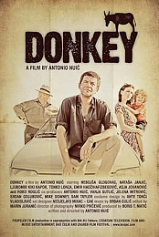 Donkey