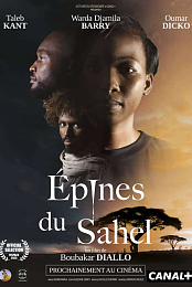 Epines du Sahel