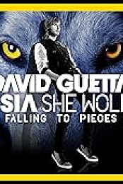 David Guetta feat. Sia: She Wolf (Falling to Pieces)