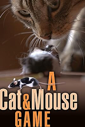 A Cat and Mouse Game