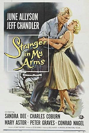 Stranger in My Arms