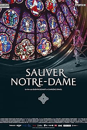 Saving Notre-Dame
