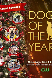 Dogs of the Year 2022