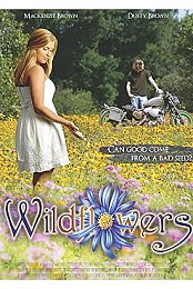Wildflowers