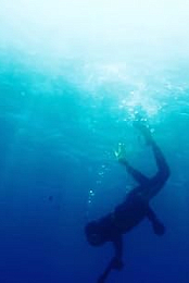 The Catch