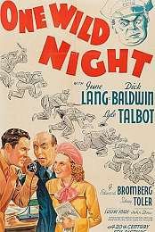 One Wild Night