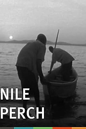 Nile Perch