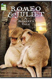 Romeo & Juliet: A Monkey's Tale
