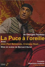 La puce a l'oreille