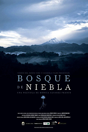 The.Cloud.Forest.2017.SPANISH.1080p.WEBRip.x264-VXT